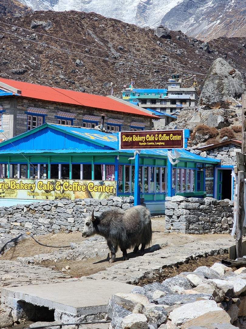 Lama Hotel to Langtang Village: Checkpoints & Stupas