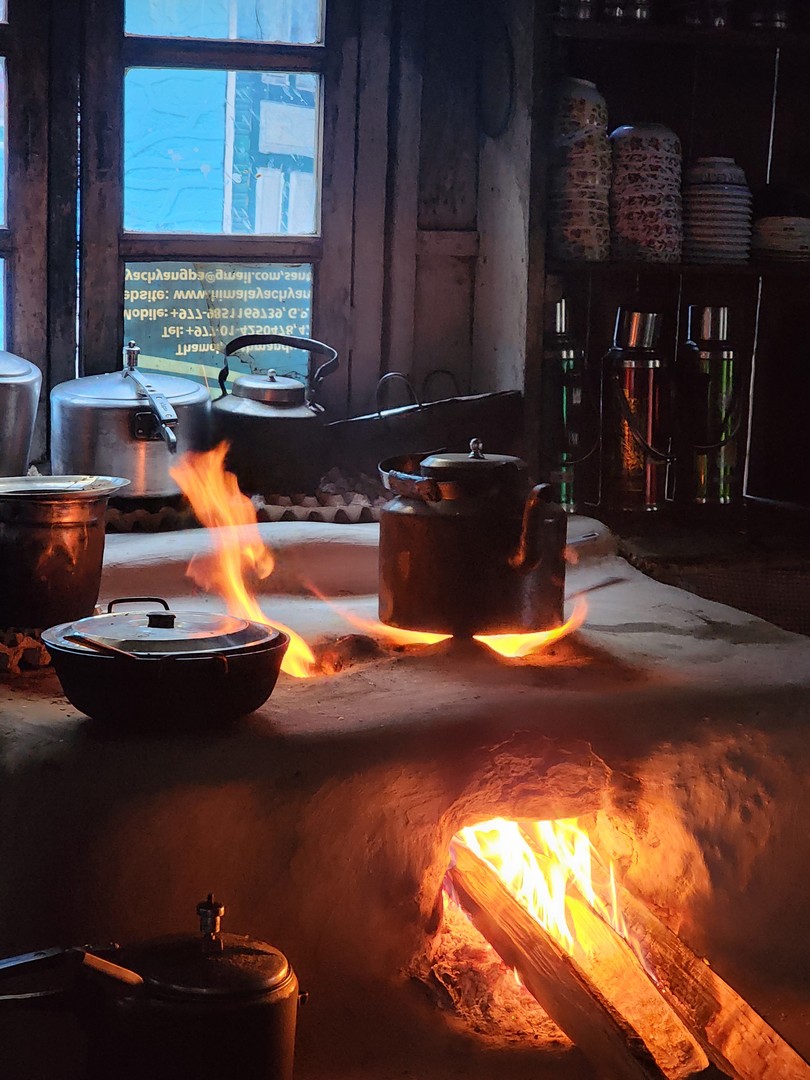 Kyanjin Gompa to Lama Hotel: Retreat Begins