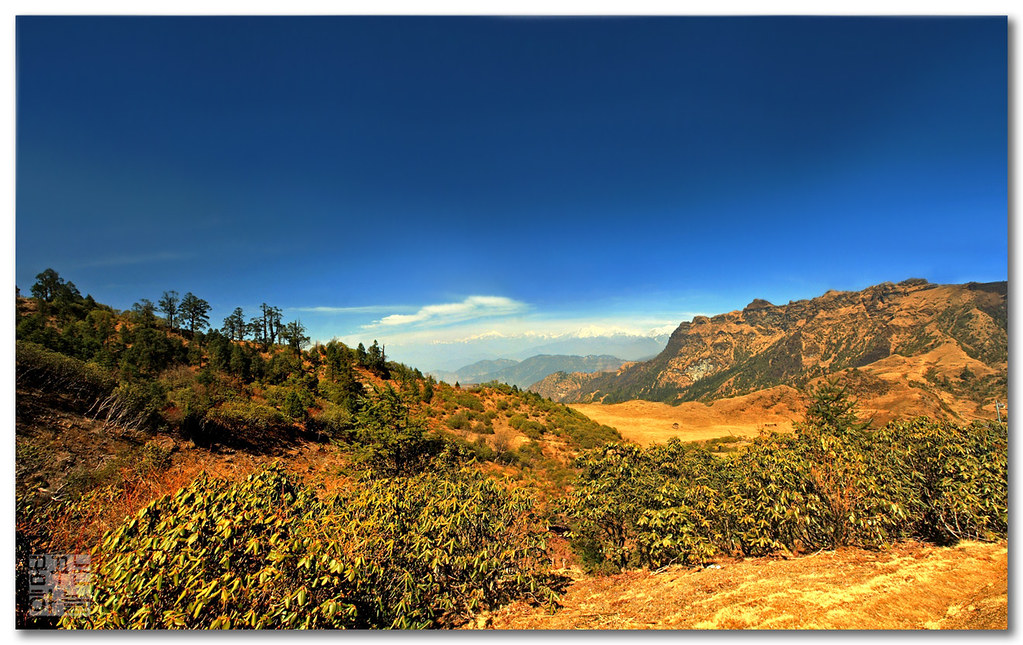 Kalinchowk Crest —  Wander Above The Clouds & Recharge